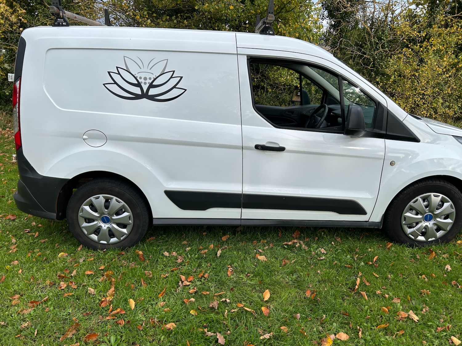 Used Ford Transit Connect 2014 for sale - 76366329: Photo 6