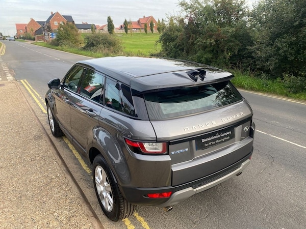 Used Land Rover Range Rover Evoque 2016 for sale - 76132818: Photo 10