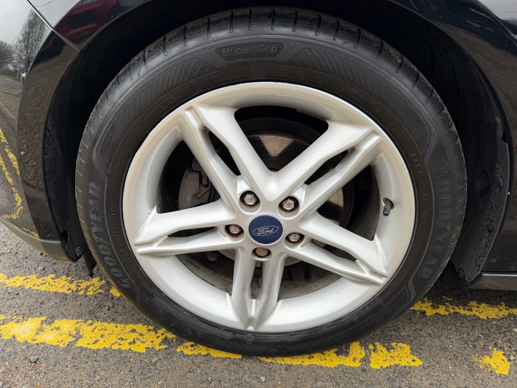 Used Ford Focus 2016 for sale - 77631815: Photo 12