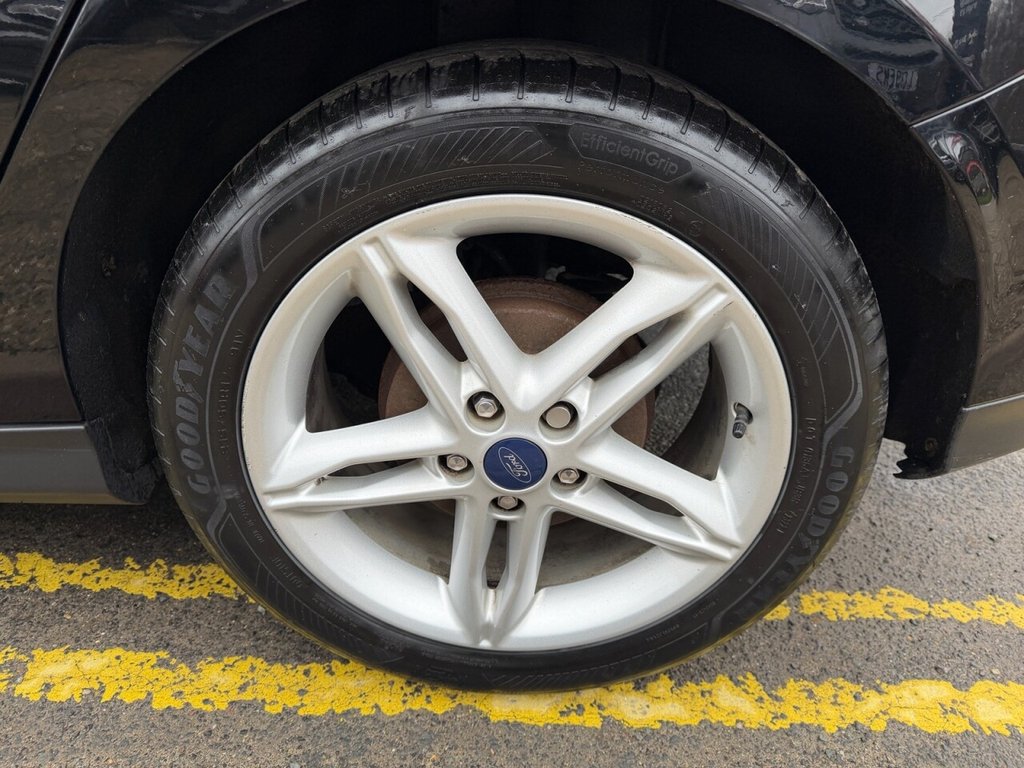 Used Ford Focus 2016 for sale - 77631815: Photo 15