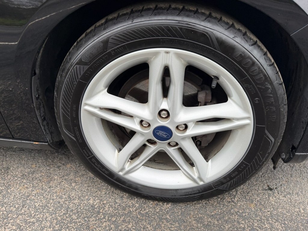 Used Ford Focus 2016 for sale - 77631815: Photo 17