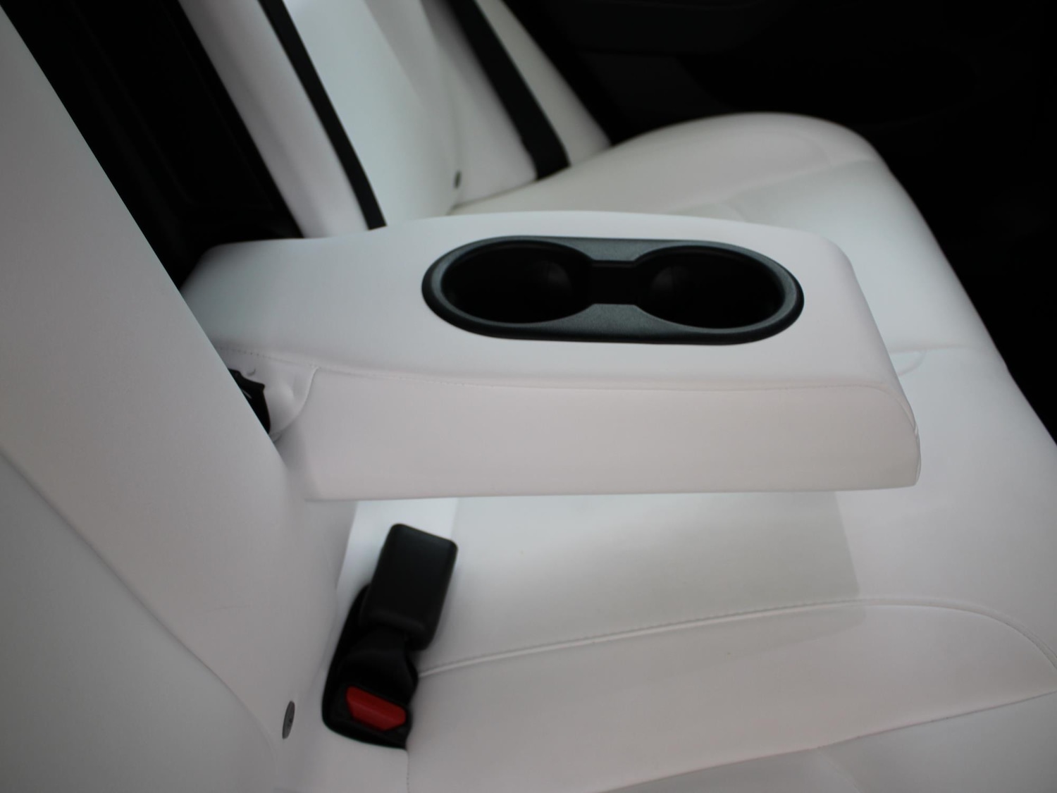 Used Tesla Model 3 2022 for sale - 78052888: Photo 12