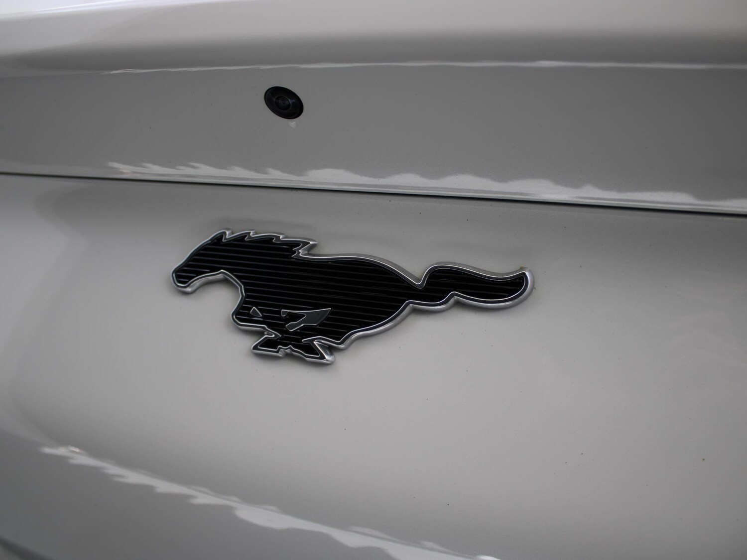 Used Ford Mustang Mach-E 2023 for sale - 76311121: Photo 52