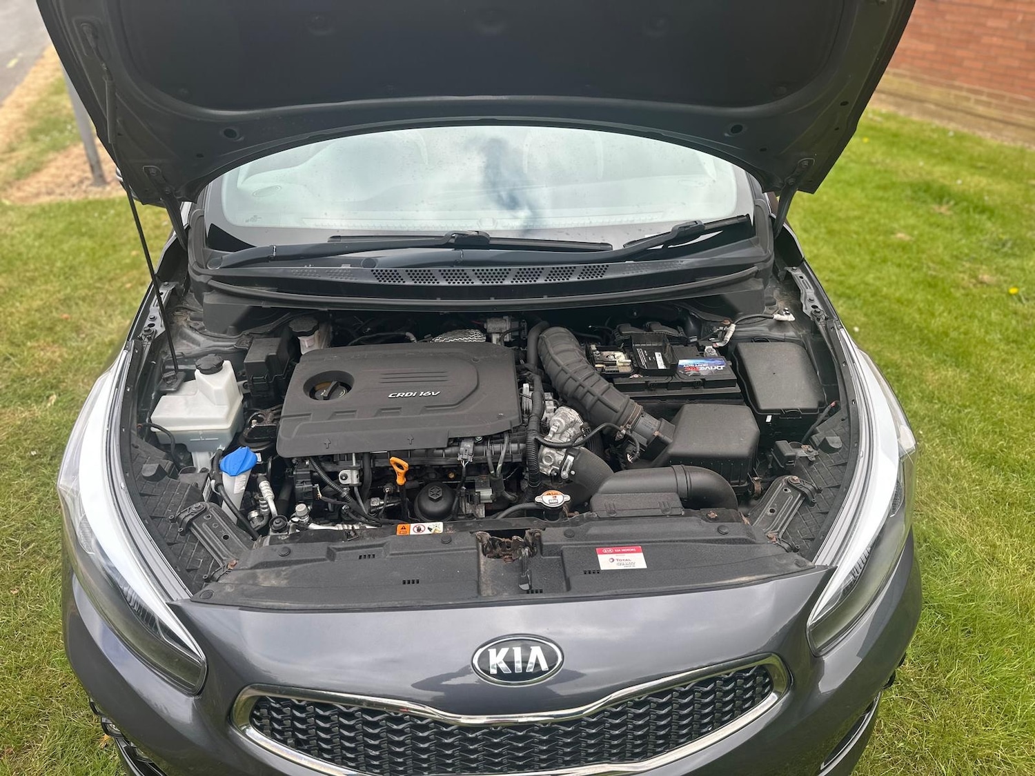 Used Kia Ceed 2017 for sale - 76374062: Photo 25