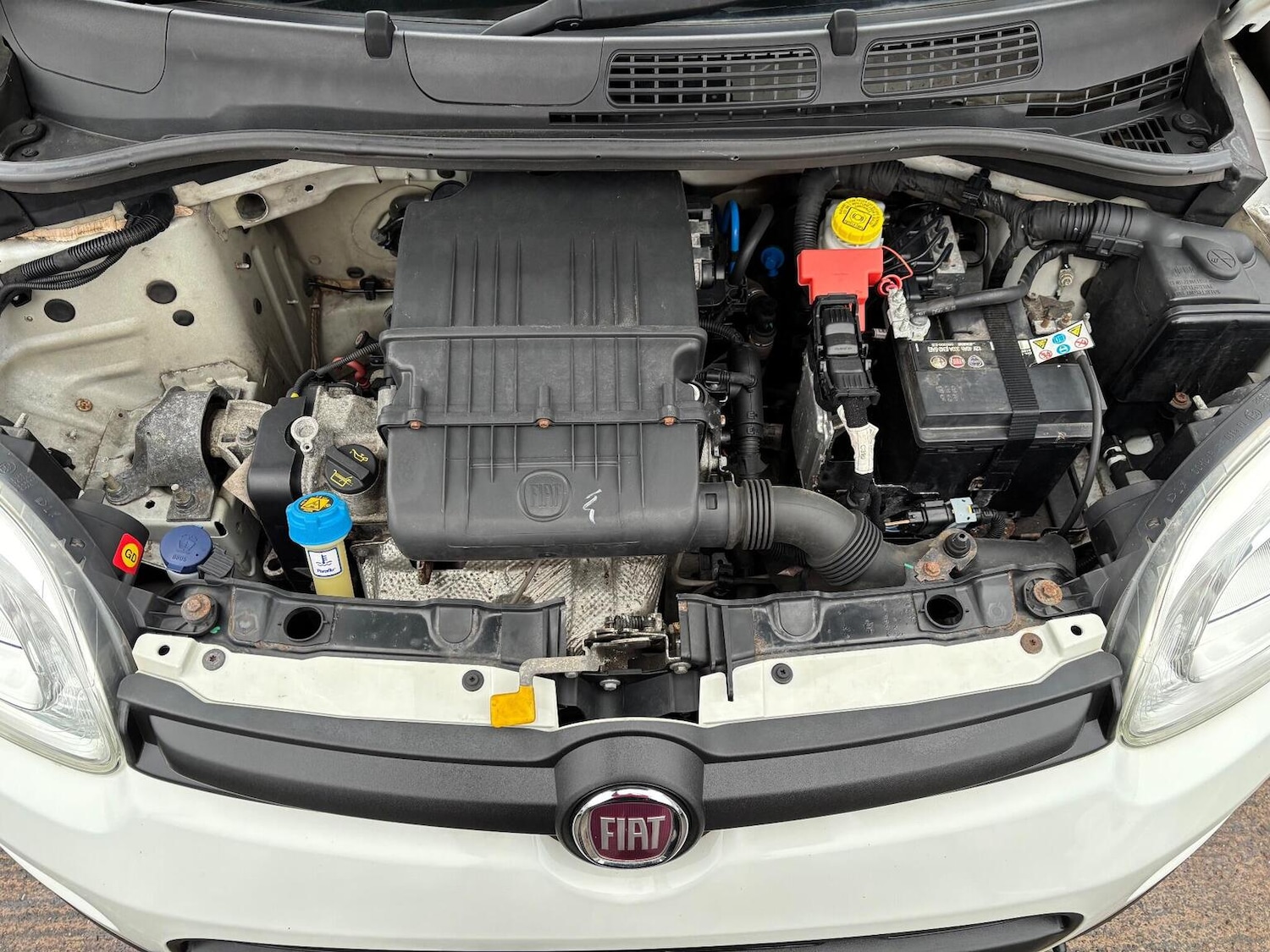 Used Fiat Panda 2016 for sale - 77135868: Photo 11