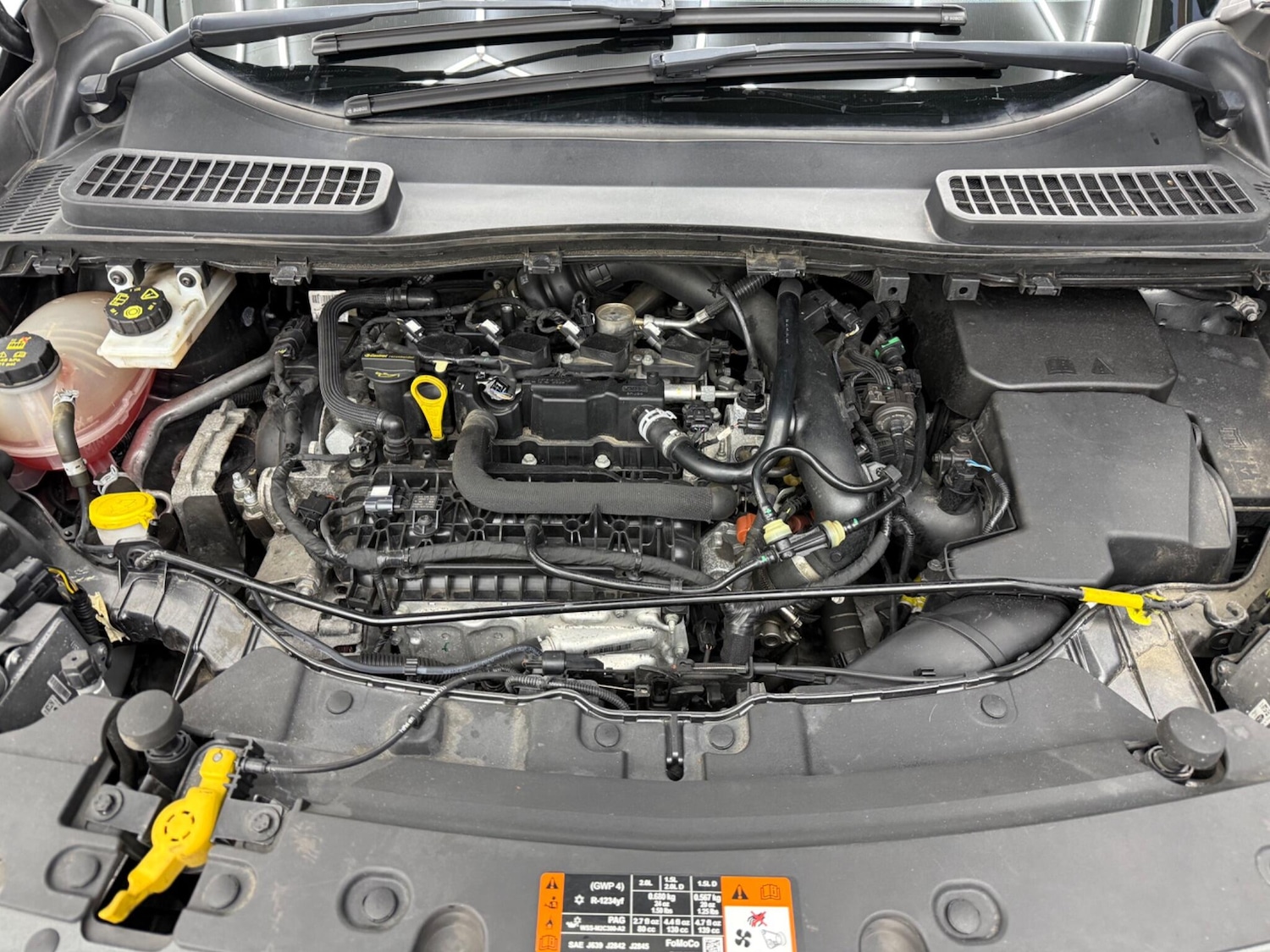 Used Ford Kuga 2019 for sale - 77549632: Photo 13