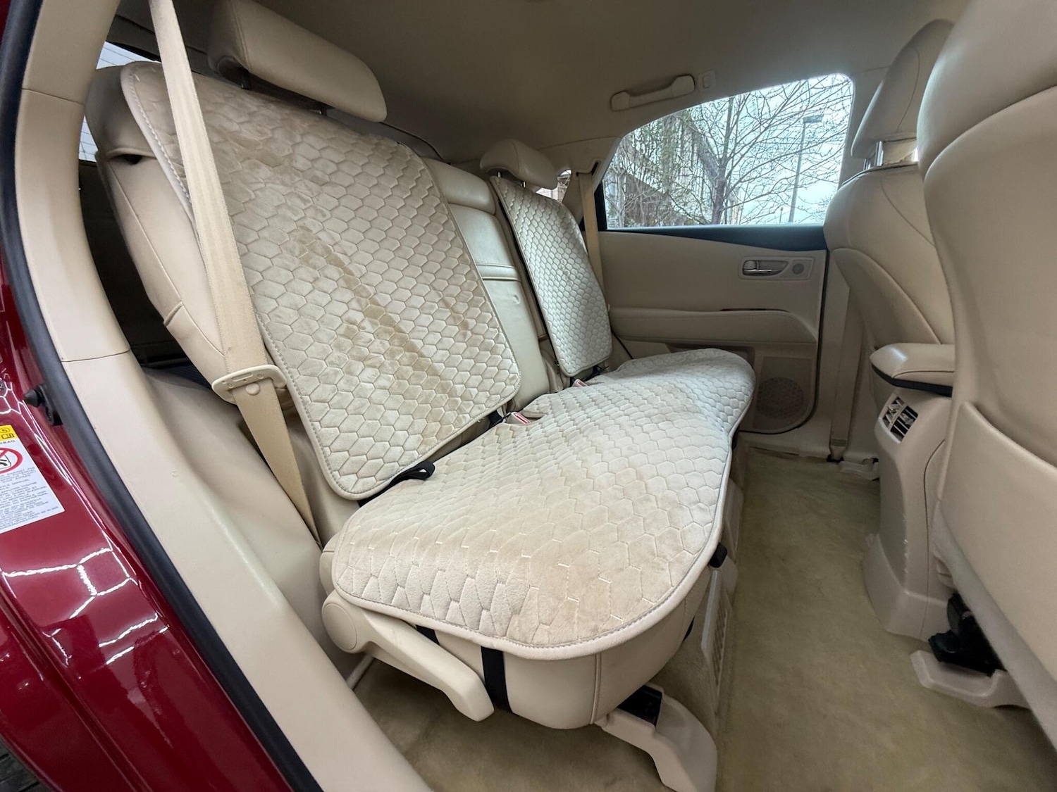 Used Lexus RX 2010 for sale - 78006808: Photo 19