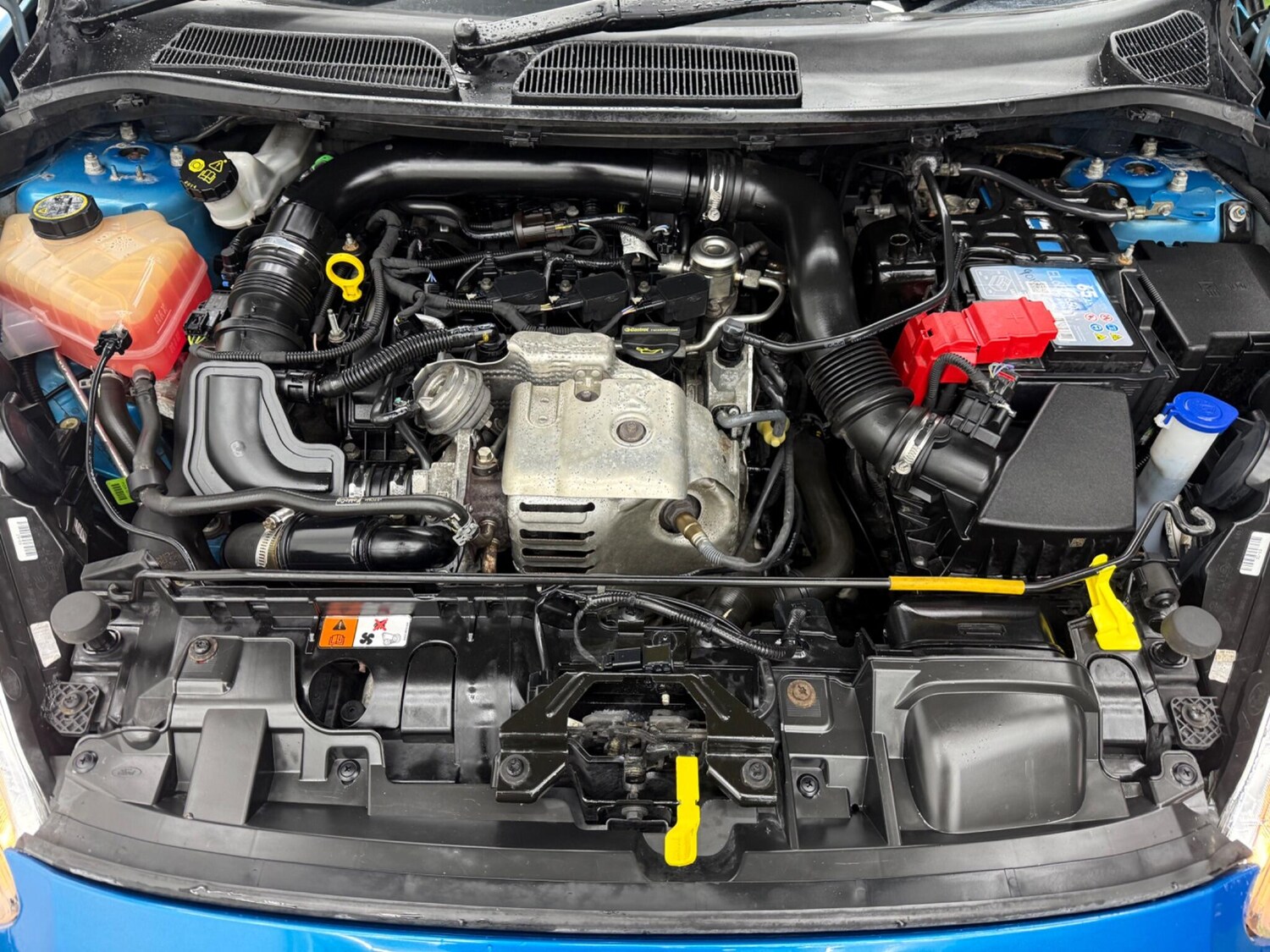 Used Ford Fiesta for sale - 77496055: Photo 13