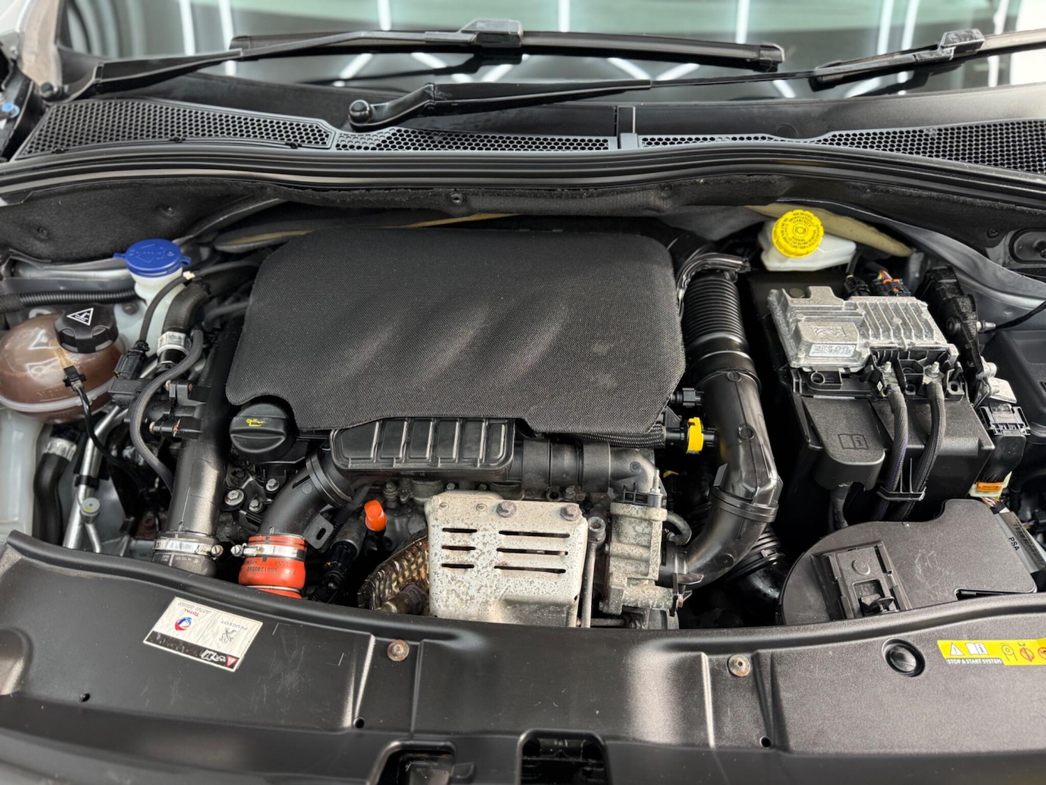 Used Peugeot 2008 for sale - 77440481: Photo 12