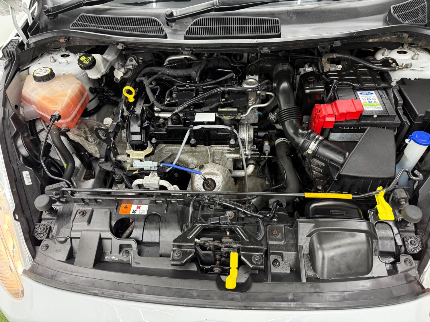 Used Ford Fiesta for sale - 77496107: Photo 13