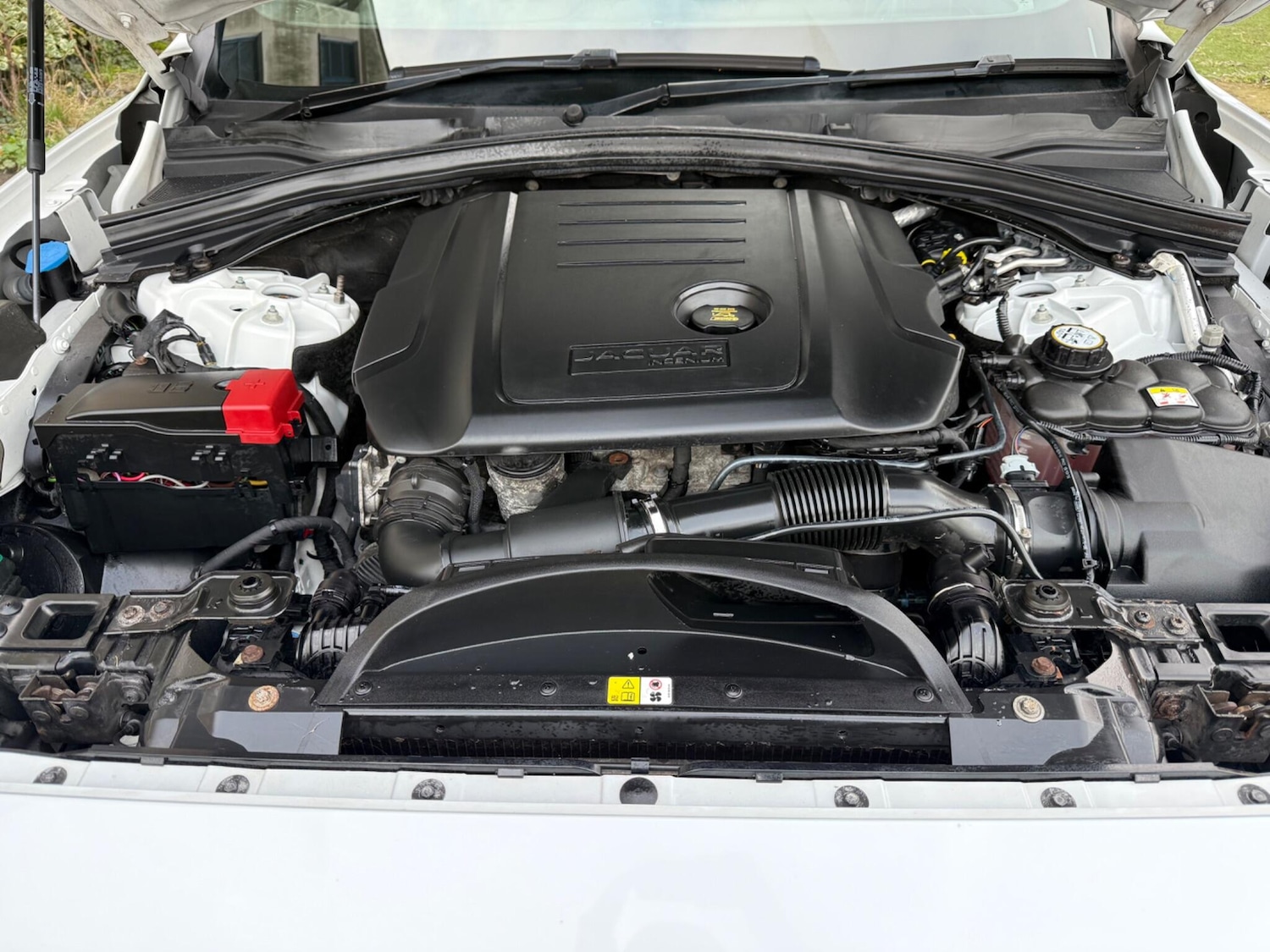 Used Jaguar F-Pace 2017 for sale - 77637885: Photo 13