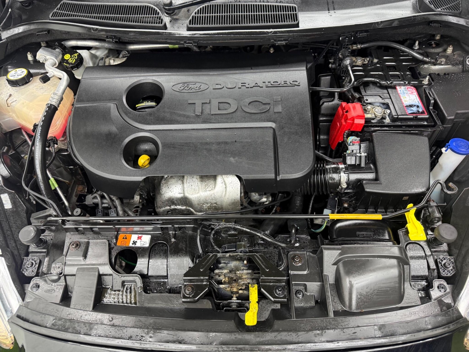 Used Ford Fiesta 2013 for sale - 77386923: Photo 13