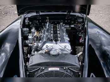Used Jaguar XK 1954 for sale - 79108004: Photo