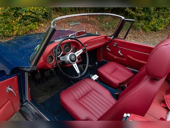 Used Alfa Romeo Spider 1962 for sale - 76315585: Photo