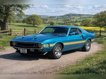 Used Ford Mustang 1969 for sale - 78205933: Photo