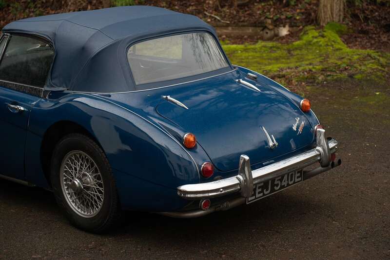 Used Austin Healey for sale - 77441466: Photo 10