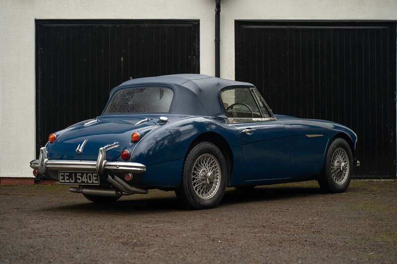 Used Austin Healey for sale - 77441466: Photo 13