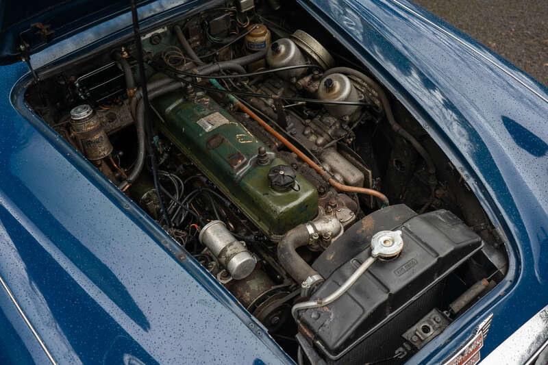 Used Austin Healey for sale - 77441466: Photo 3