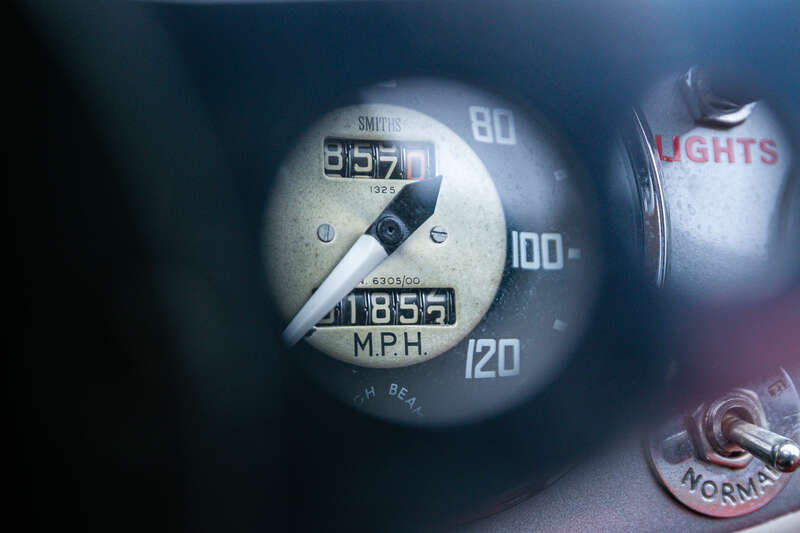 Used Austin Healey 2016 for sale - 77217675: Photo 12