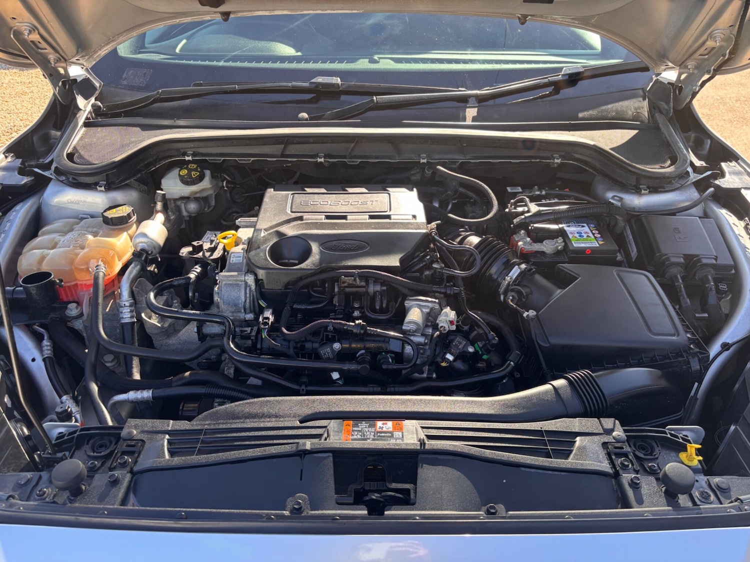 Used Ford Focus 2018 for sale - 77940223: Photo 19