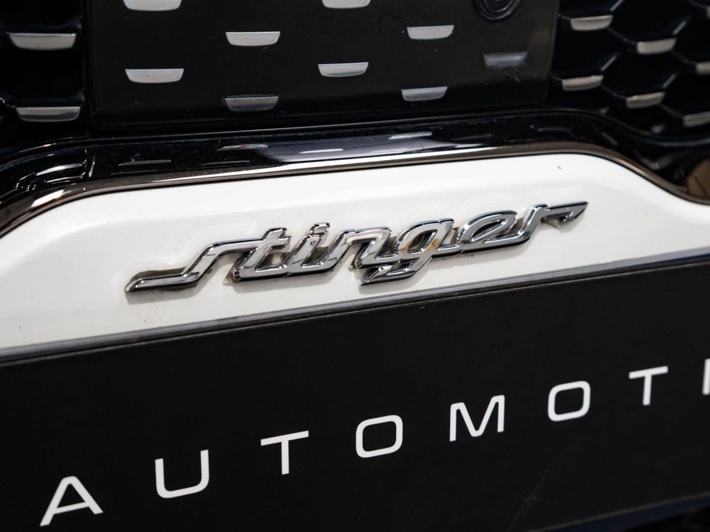 Used Kia Stinger 2017 for sale - 77677226: Photo 4