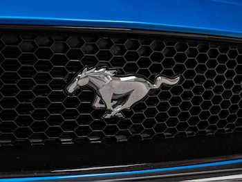 Used Ford Mustang 2019 for sale - 78299744: Photo