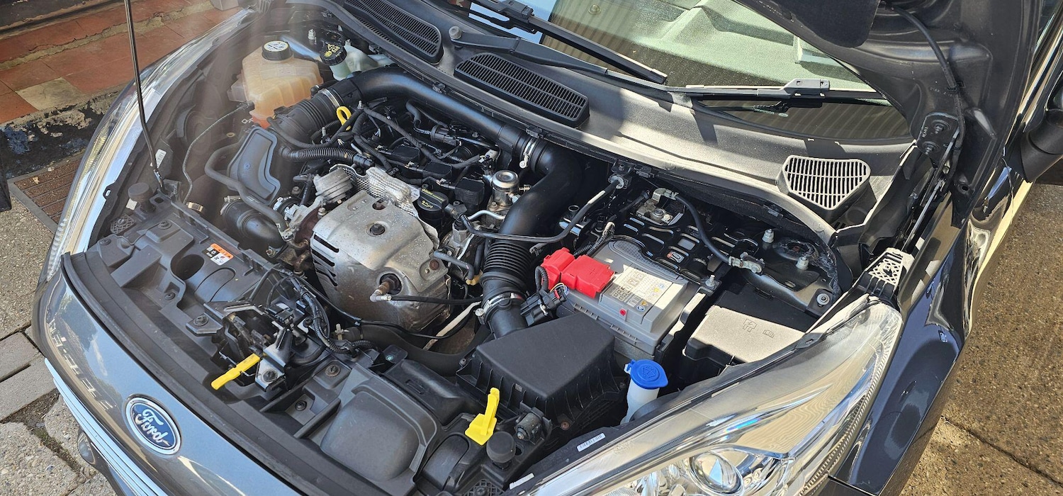 Used Ford Fiesta 2016 for sale - 75856009: Photo 13