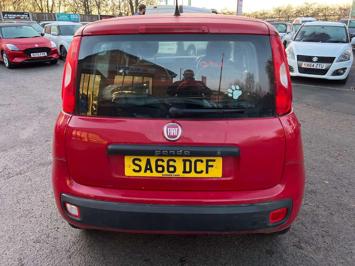 Used Fiat Panda for sale - 77190515: Photo 3