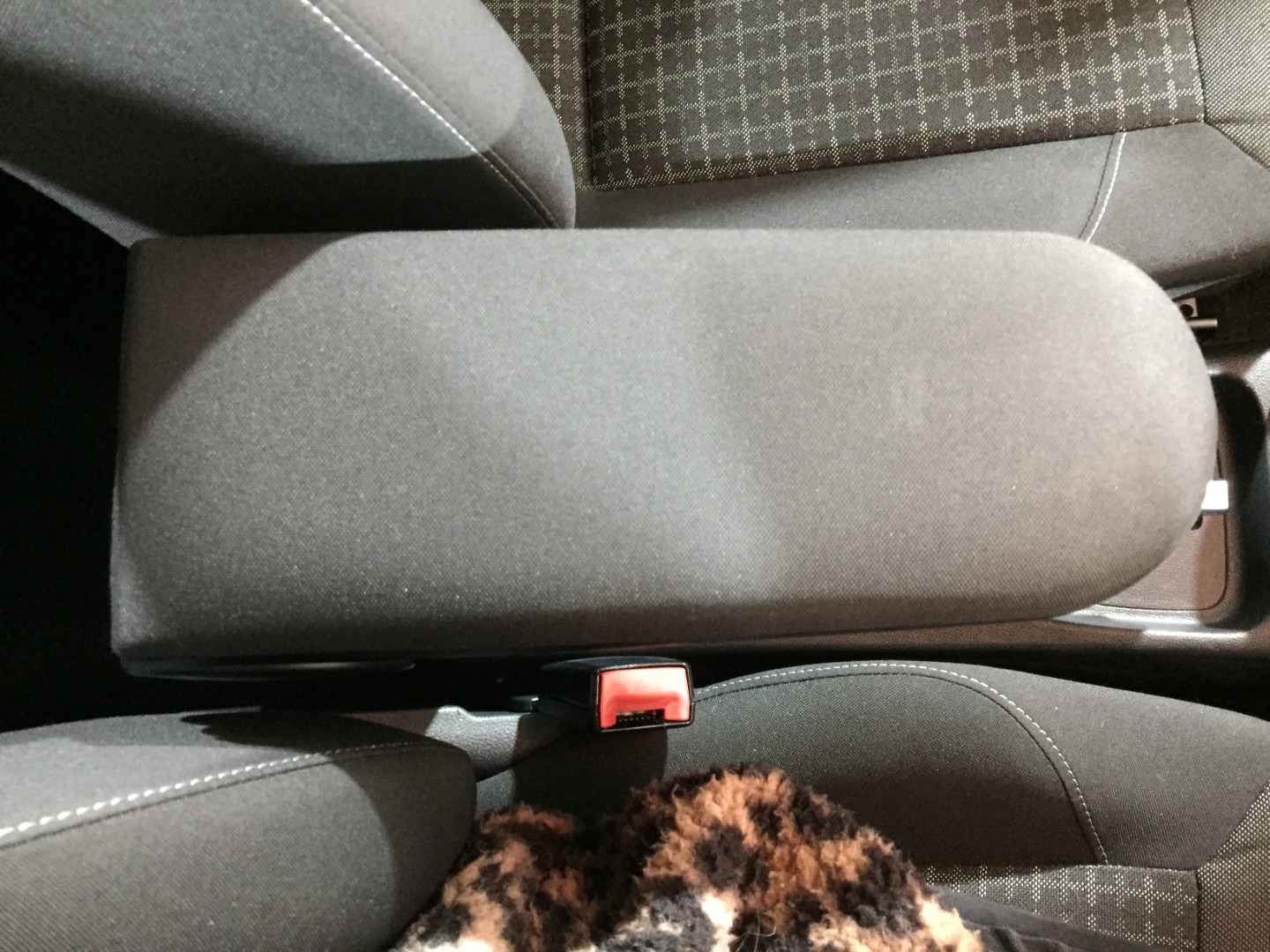 Used Volkswagen Polo 2014 for sale - 76407134: Photo 25