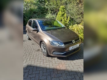 Used Volkswagen Polo 2016 for sale - 79572078: Photo