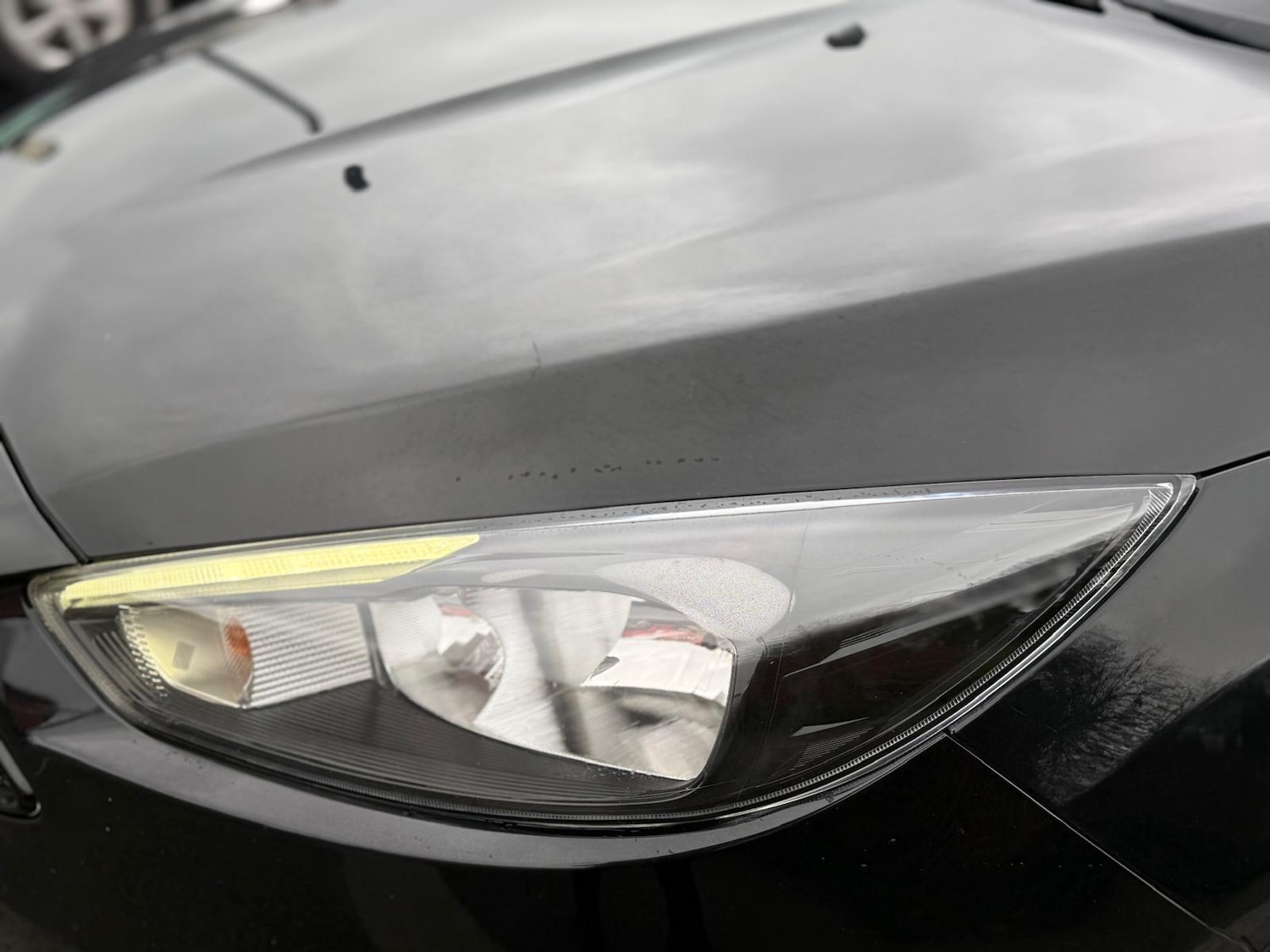 Used Ford Focus for sale - 77825283: Photo 11