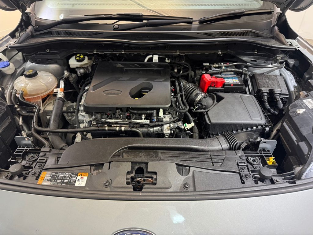 Used Ford Kuga 2020 for sale - 76788096: Photo 35