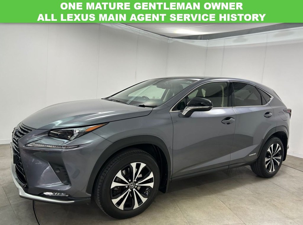 Used Lexus NX 2021 for sale - 76546420: Photo 7
