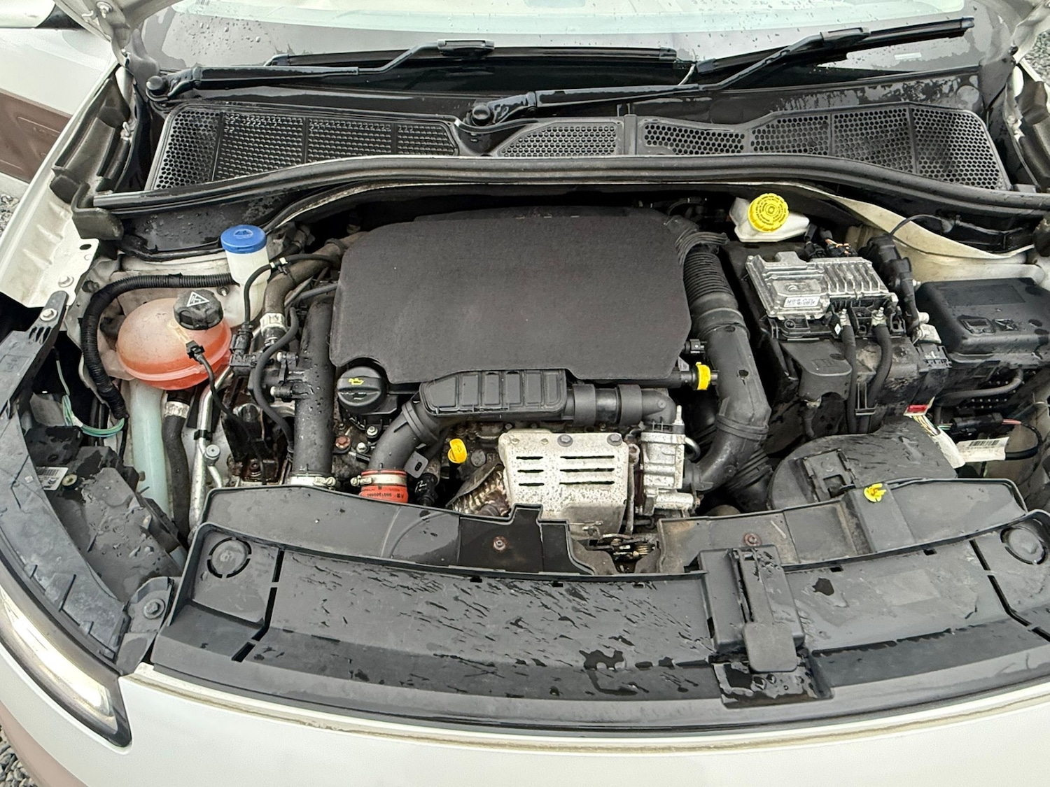 Used Citroen C4 Cactus 2014 for sale - 77834068: Photo 11