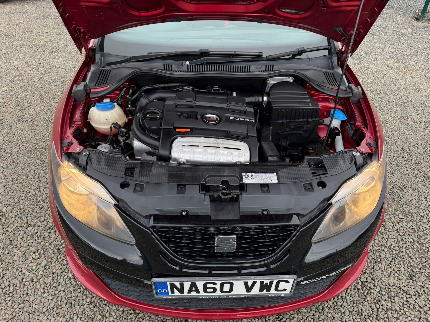 Used SEAT Ibiza 2010 for sale - 76178208: Photo 8
