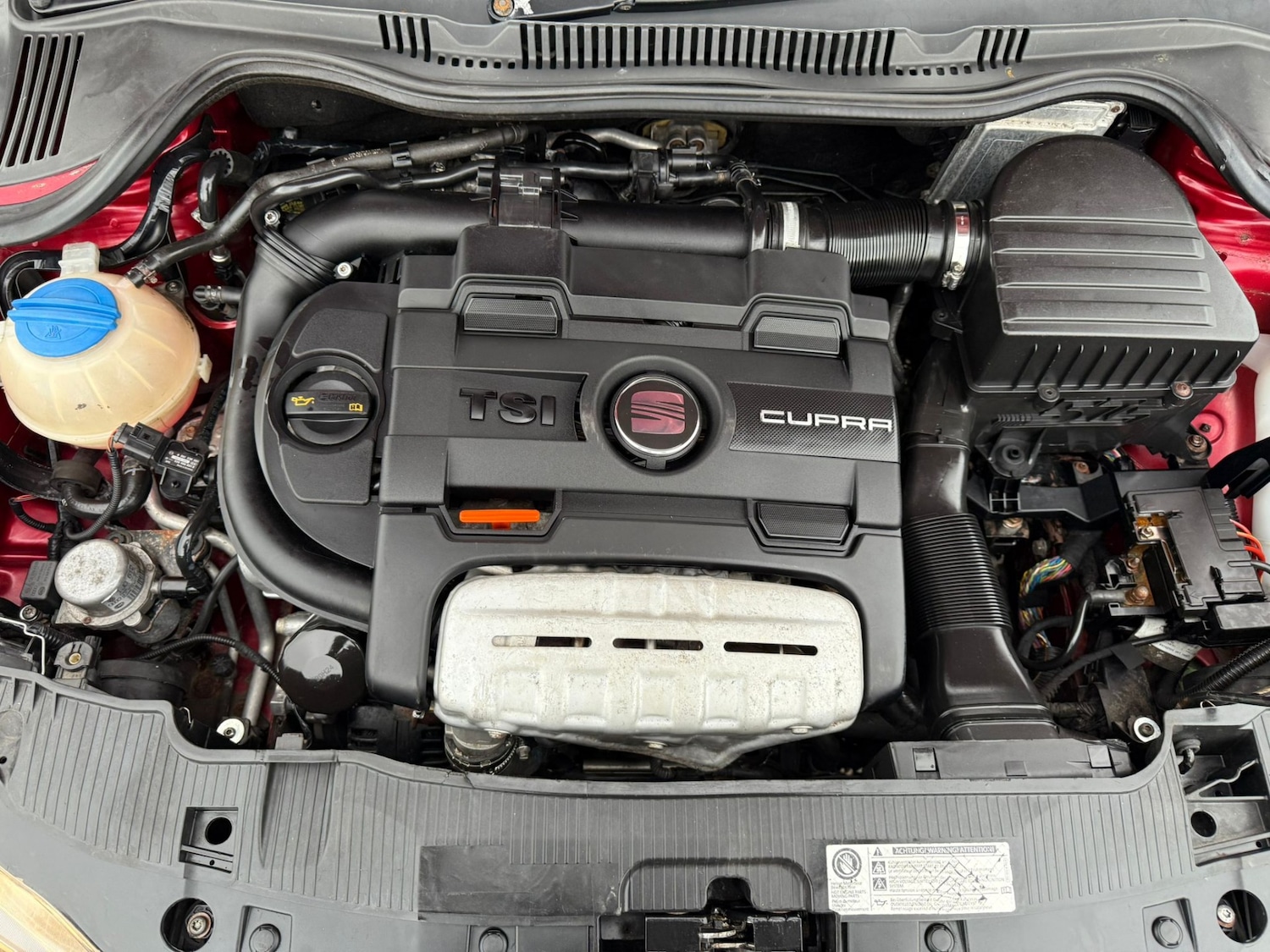 Used SEAT Ibiza 2010 for sale - 76178208: Photo 9