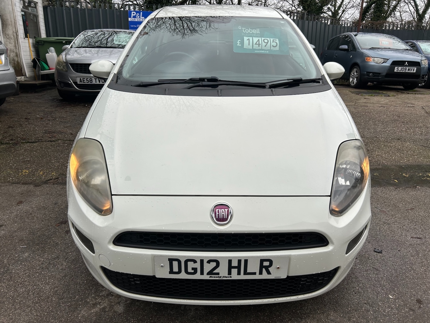 Used Fiat Punto 2012 for sale - 77296894: Photo 2