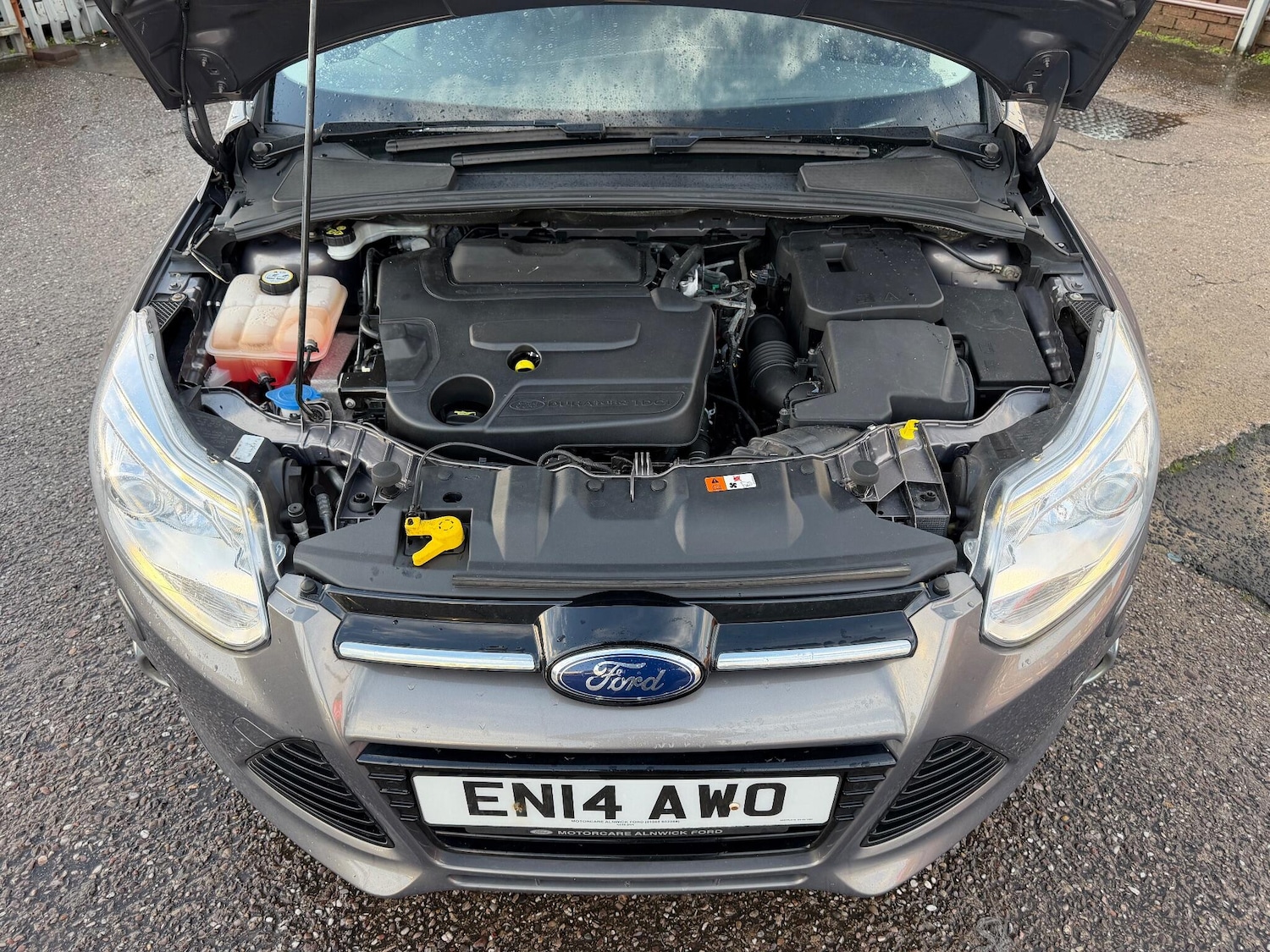 Used Ford Focus 2014 for sale - 77081427: Photo 49