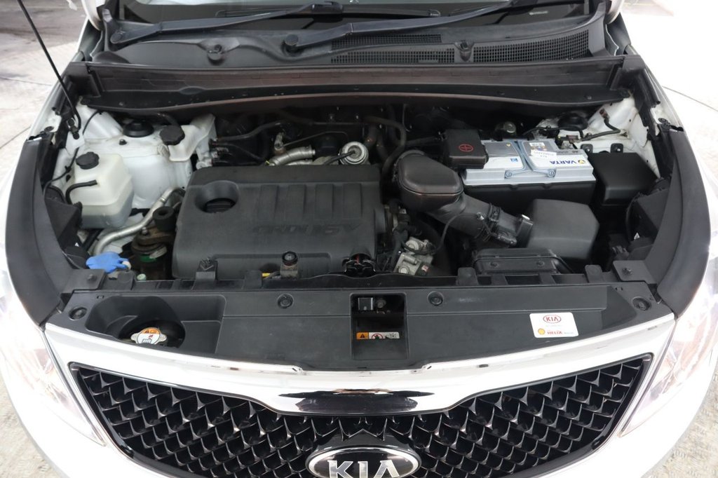 Used Kia Sportage 2014 for sale - 76617875: Photo 10