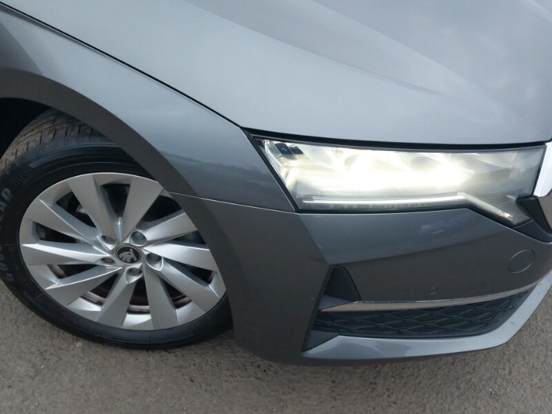 Used Skoda Octavia 2025 for sale - 77644304: Photo 9