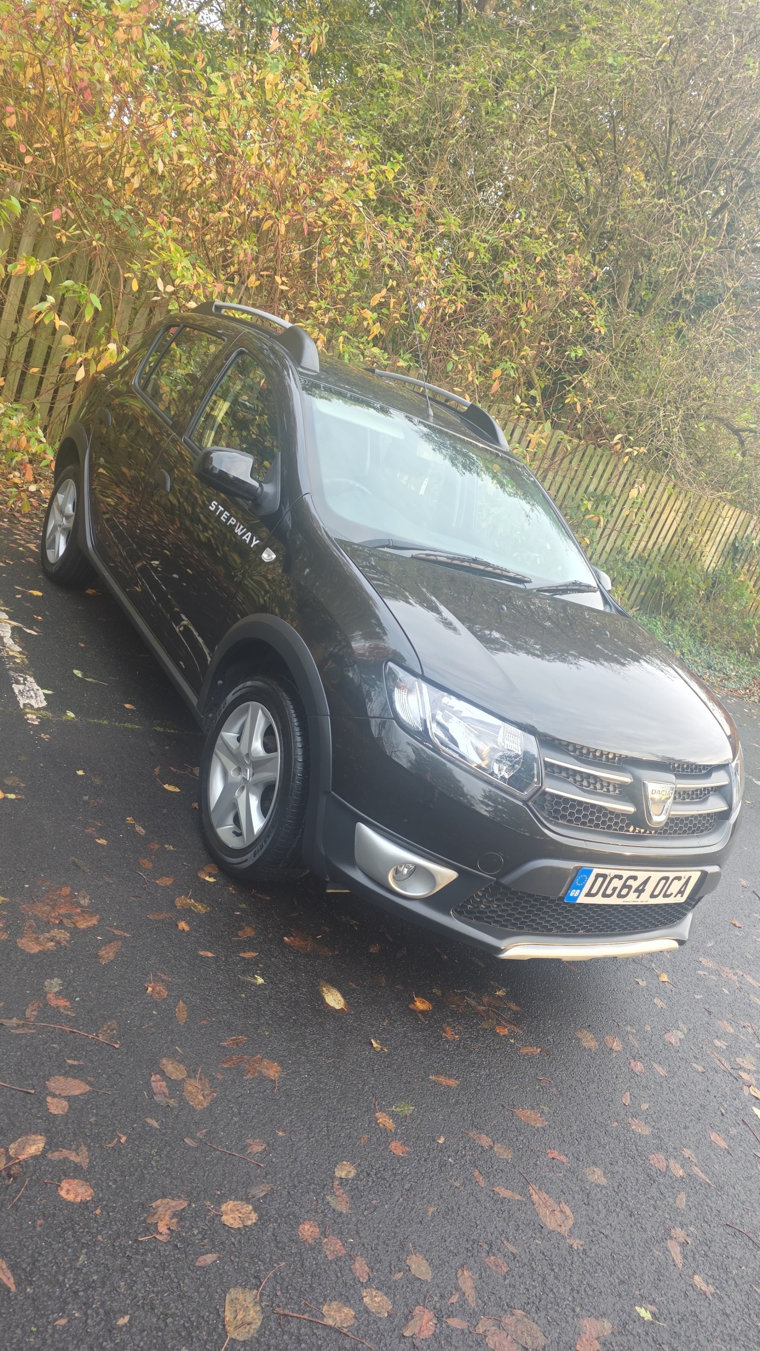 Used Dacia Sandero Stepway 2014 for sale - 77045402: Photo 7