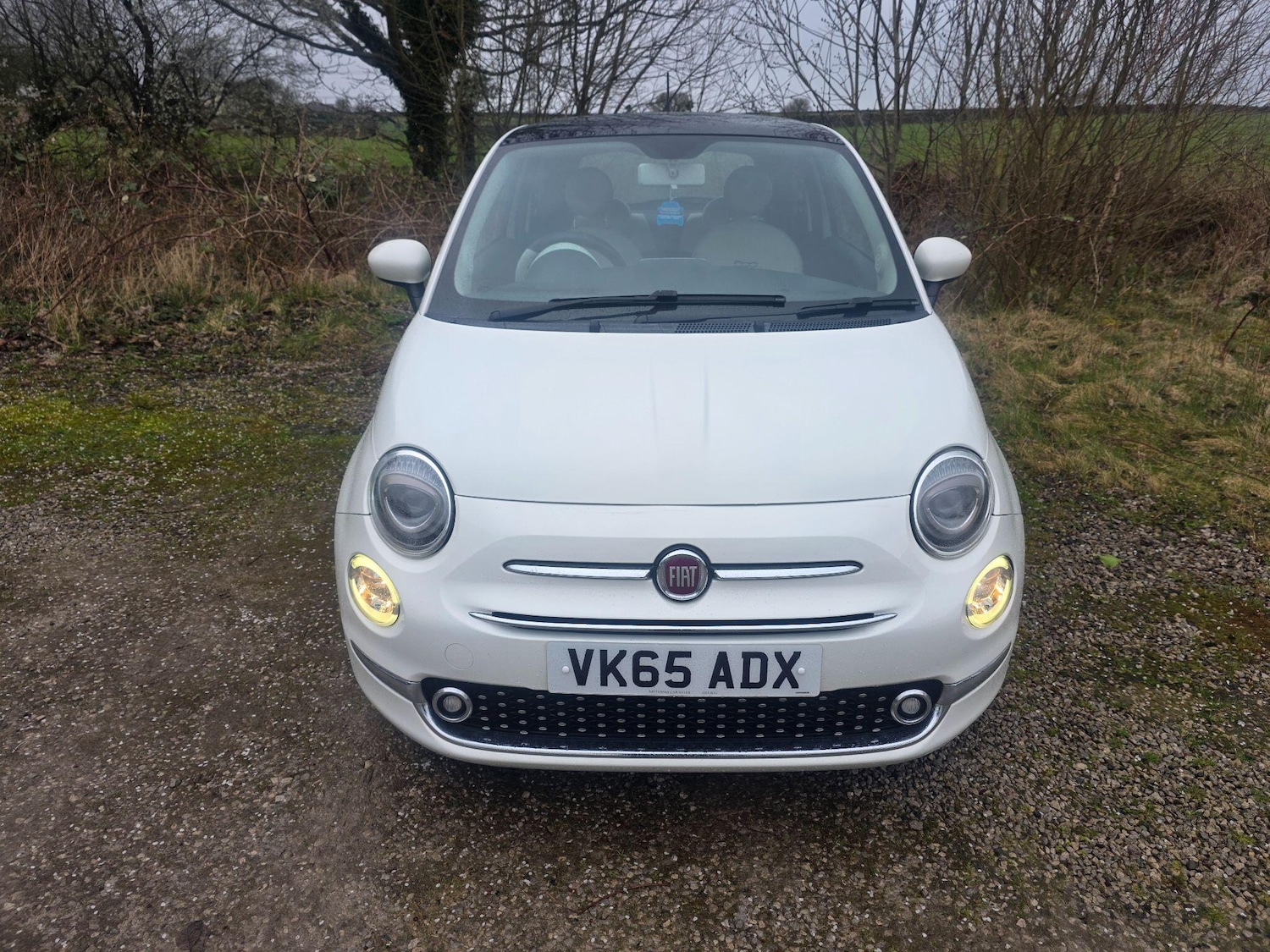 Used Fiat 500 2015 for sale - 77883323: Photo 2