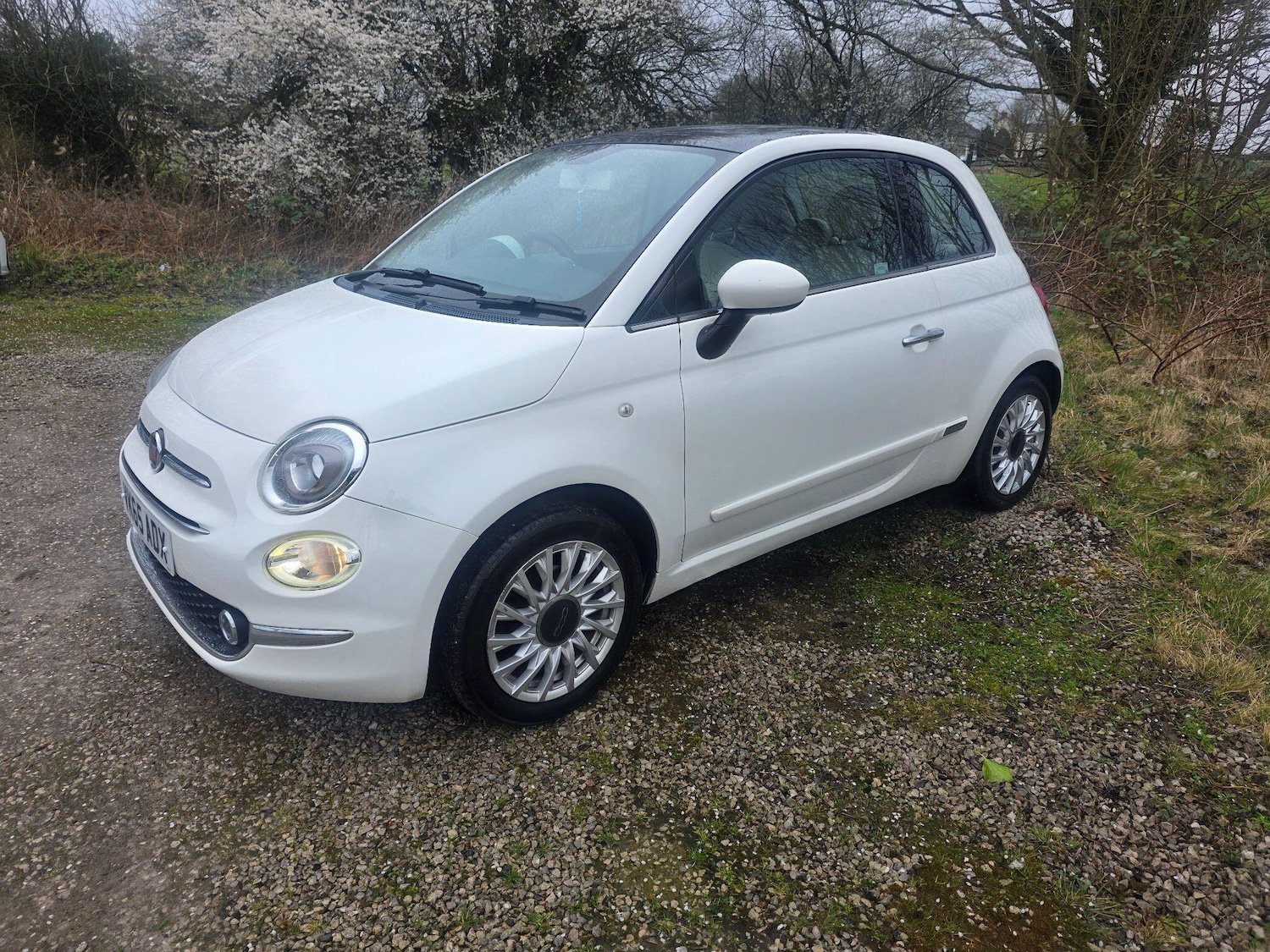 Used Fiat 500 2015 for sale - 77883323: Photo 4