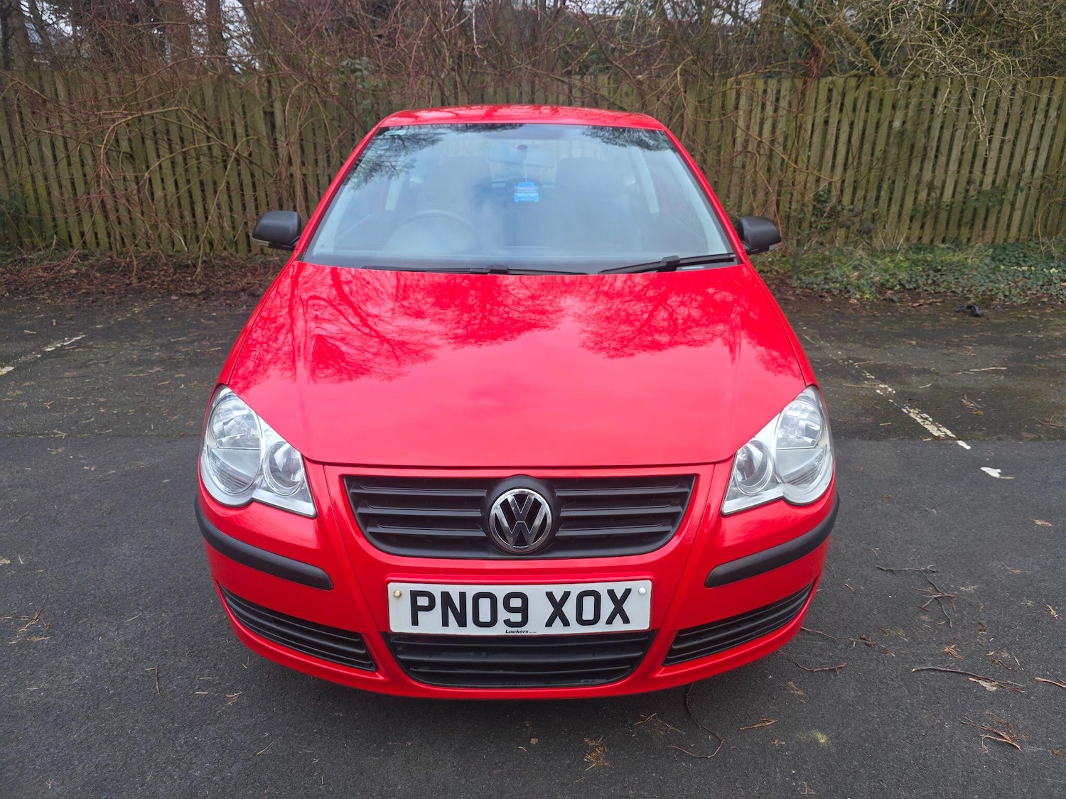 Used Volkswagen Polo for sale - 77683383: Photo 2