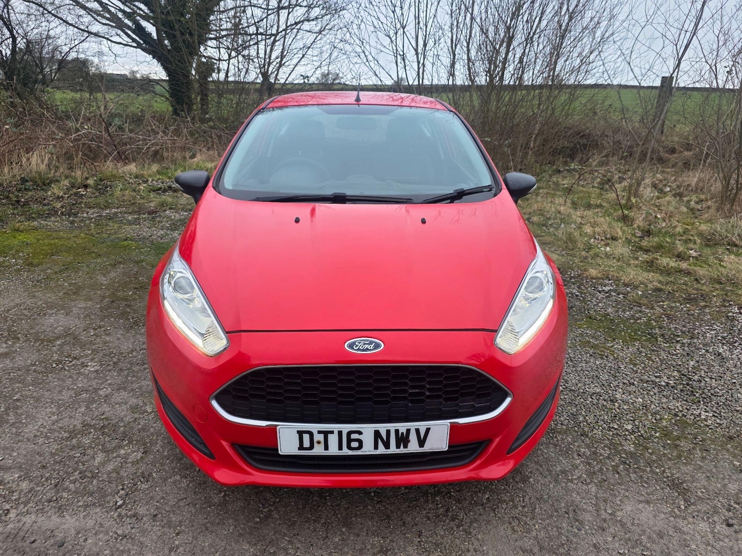 Used Ford Fiesta 2016 for sale - 77783315: Photo 2