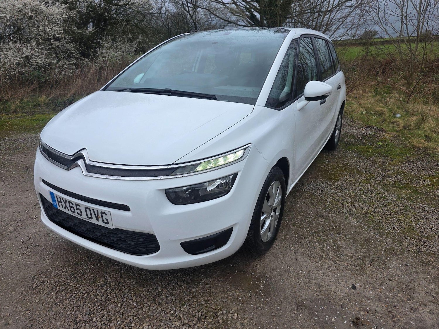 Used Citroen Grand C4 Picasso 2015 for sale - 77882129: Photo 3