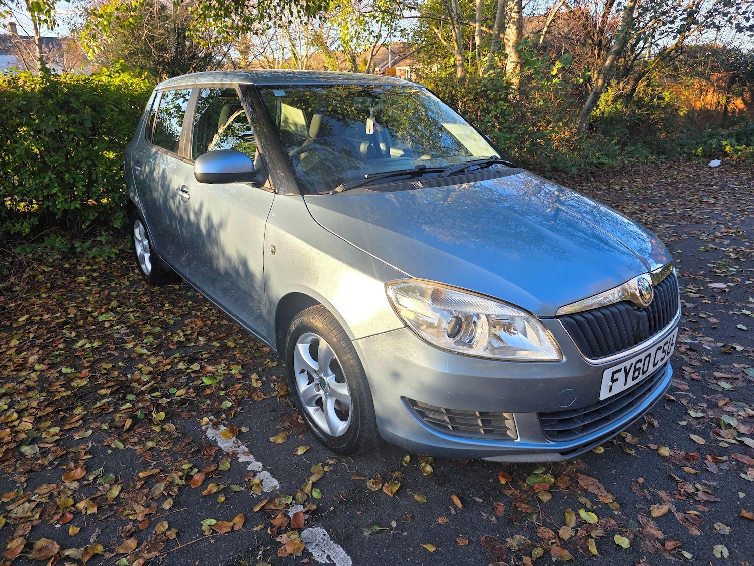 Used Skoda Fabia 2010 for sale - 76645391: Photo 1