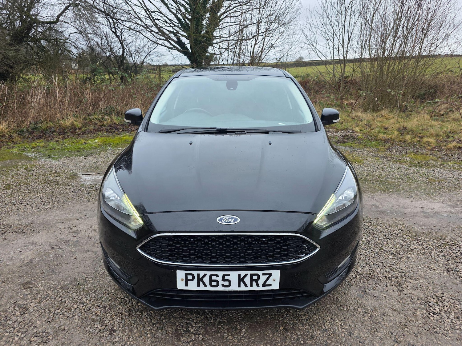 Used Ford Focus 2015 for sale - 77142933: Photo 2