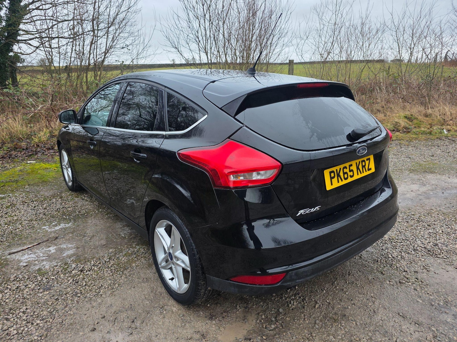 Used Ford Focus 2015 for sale - 77142933: Photo 5