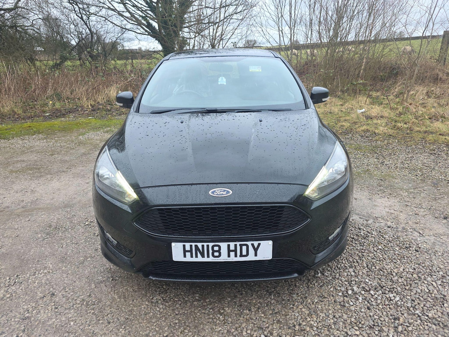 Used Ford Focus for sale - 77537467: Photo 2